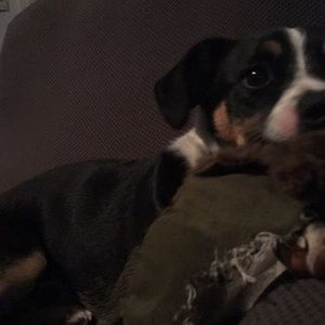 Meet your Posher, Tiarra